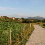 Paseo por la senda costera de Pedreña