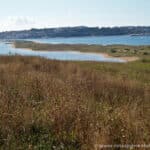 El Puntal desde Somoboo