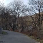 Comienza el bosque de hayas, la zona más dura